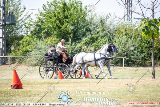 Mintakép 20260815-588