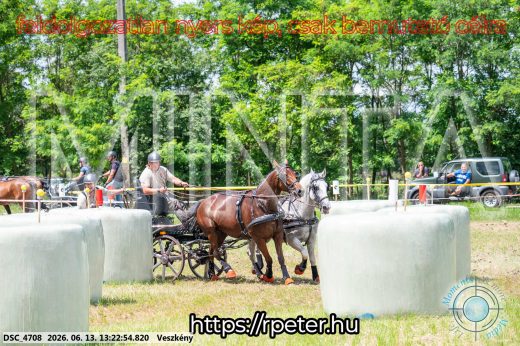Mintakép 20260613-119