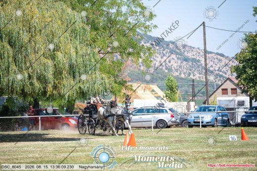 Mintakép 20260815-598