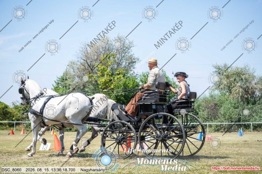Mintakép 20260815-605
