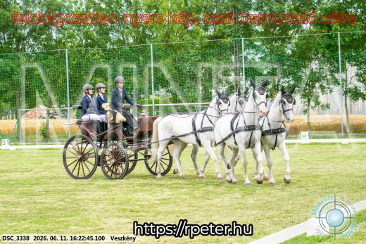 Mintakép 20260611-58