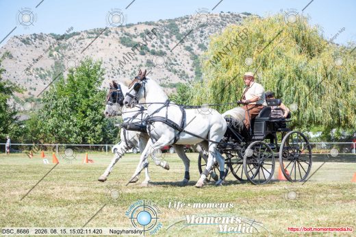 Mintakép 20260815-614