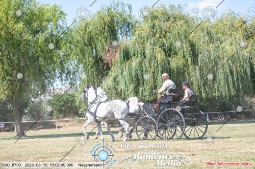 Mintakép 20260815-623