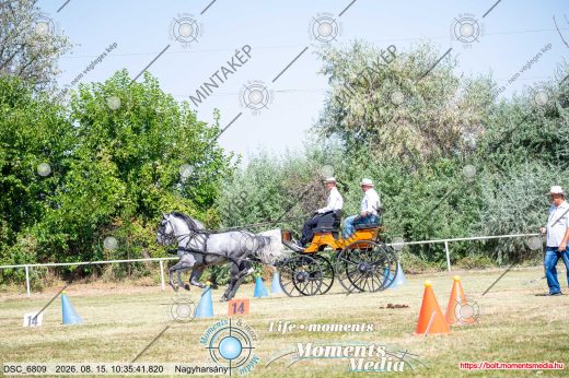 Mintakép 20260815-632
