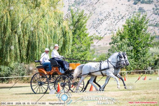 Mintakép 20260815-636