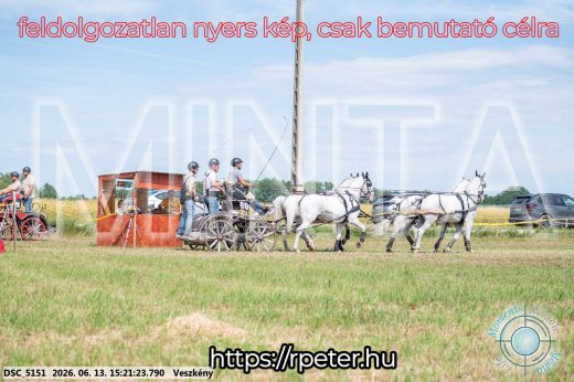 Mintakép 20260613-1502