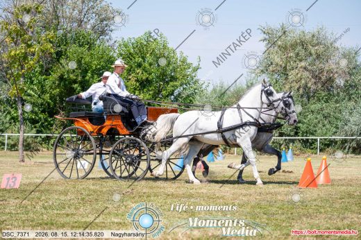 Mintakép 20260815-645