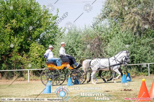 Mintakép 20260815-650