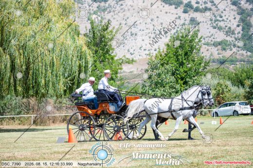 Mintakép 20260815-654