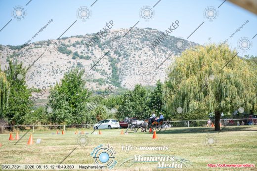 Mintakép 20260815-655