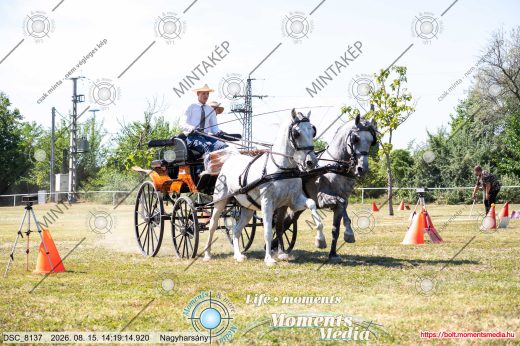 Mintakép 20260815-675