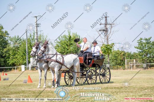 20260815-111747-DSC_7068.jpg