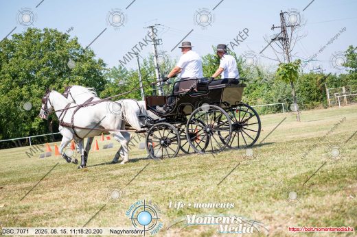 20260815-111820-DSC_7071.jpg
