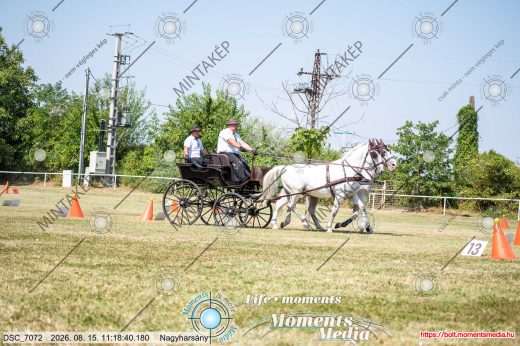 20260815-111840-DSC_7072.jpg