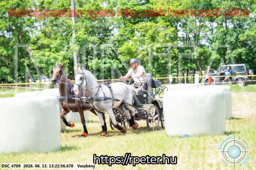 Mintakép 20260613-120