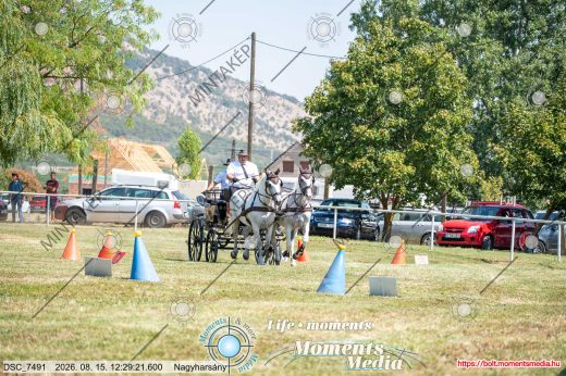 Mintakép 20260815-706