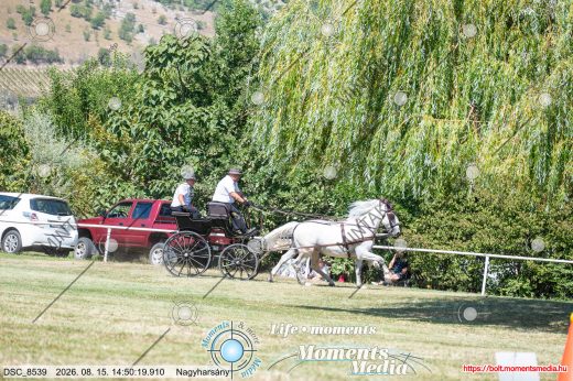 Mintakép 20260815-719