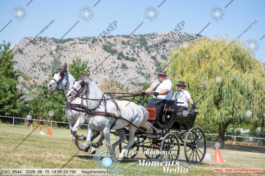 Mintakép 20260815-724