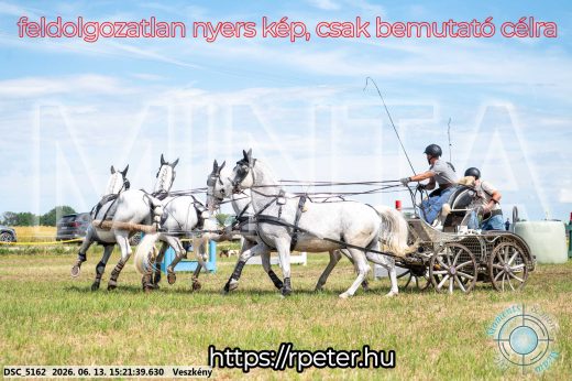 Mintakép 20260613-1513