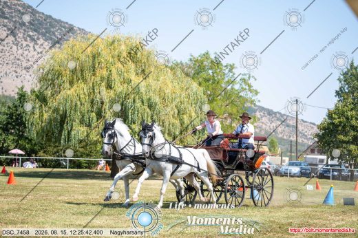 Mintakép 20260815-755