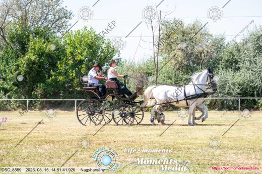 Mintakép 20260815-759