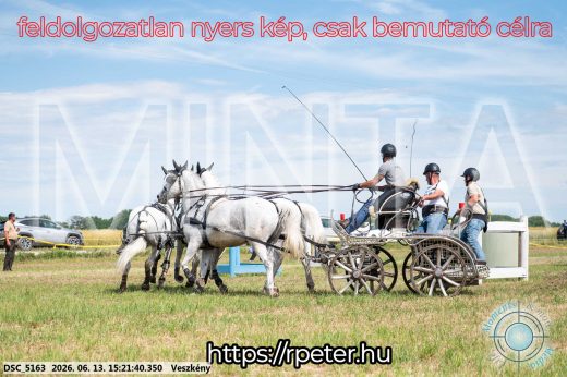 Mintakép 20260613-1514