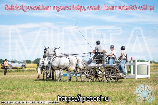Mintakép 20260613-1515