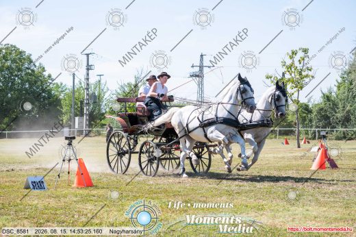 Mintakép 20260815-774
