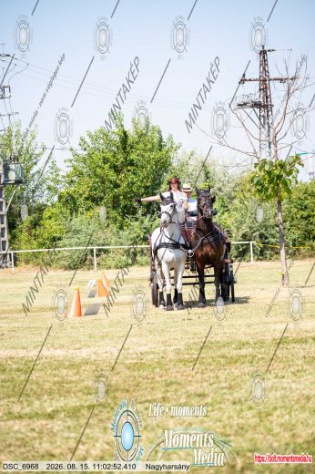 20260815-110252-DSC_6968.jpg