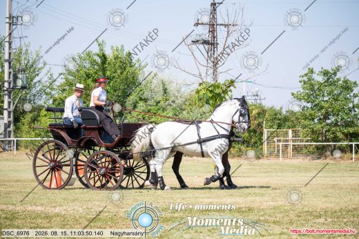 Mintakép 20260815-781