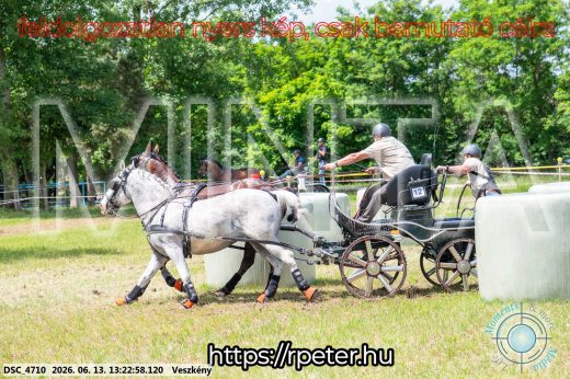 Mintakép 20260613-121