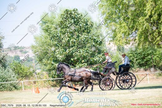 Mintakép 20260815-800