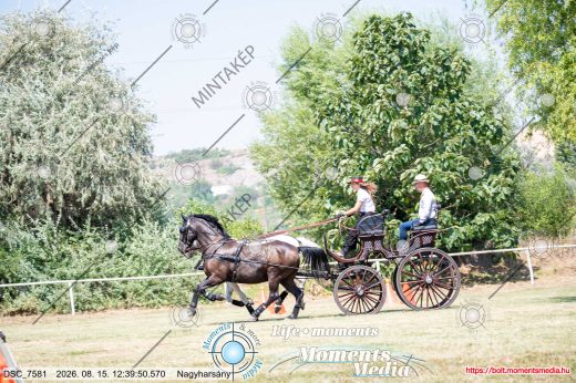 Mintakép 20260815-801