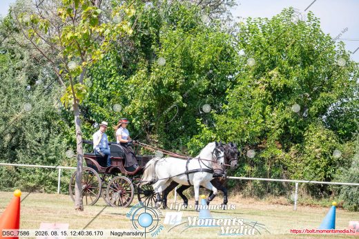 Mintakép 20260815-803