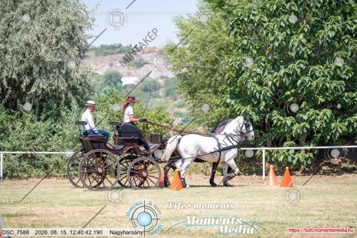 Mintakép 20260815-804