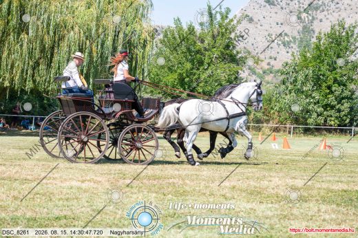 Mintakép 20260815-819
