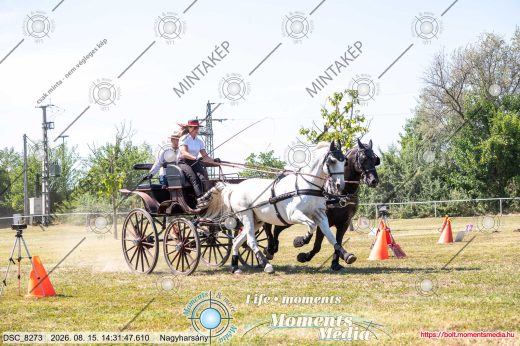 Mintakép 20260815-826