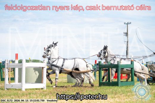 Mintakép 20260613-1522