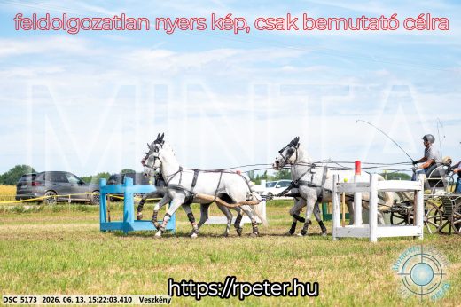 Mintakép 20260613-1523