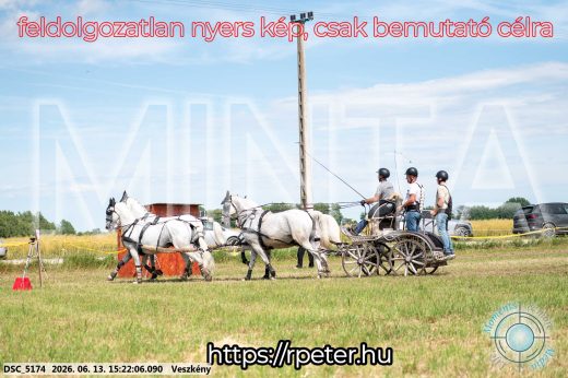 Mintakép 20260613-1524