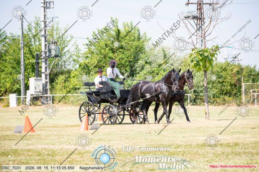 20260815-111305-DSC_7031.jpg