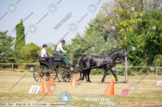 20260815-111313-DSC_7032.jpg