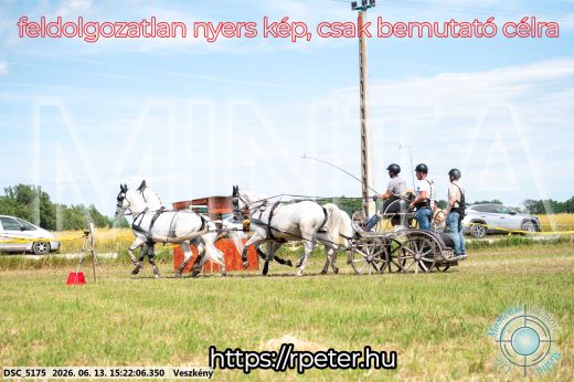 Mintakép 20260613-1525