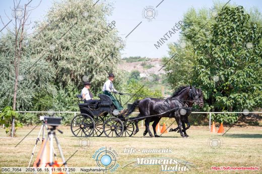 Mintakép 20260815-879
