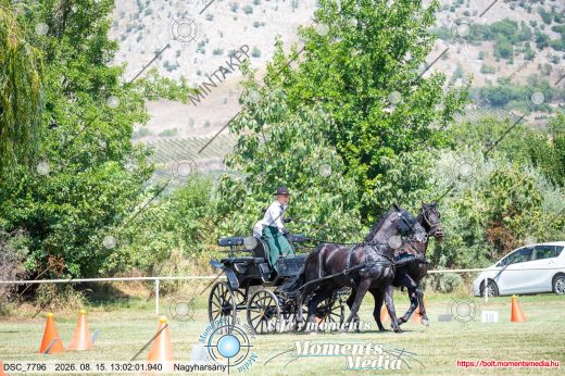 Mintakép 20260815-900
