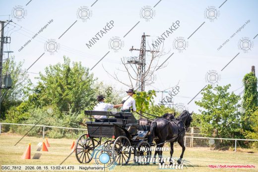Mintakép 20260815-911