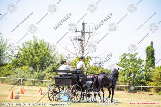 Mintakép 20260815-912