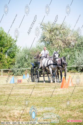 20260815-104838-DSC_6879.jpg