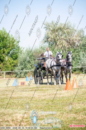 20260815-104839-DSC_6880.jpg