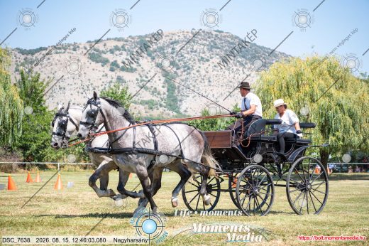 Mintakép 20260815-959